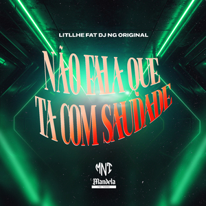 Não Fala Que Ta Com Saudade