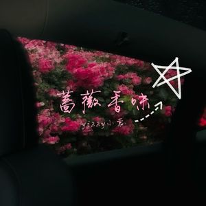 蔷薇香味（prod.by Morrow）