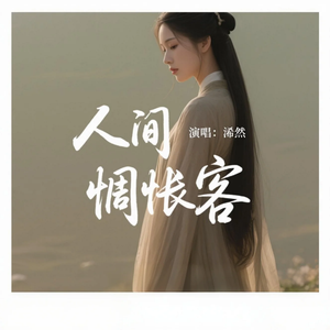人间惆怅客(氛围版)