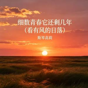 细数青春它还剩几年（看有风的日落）