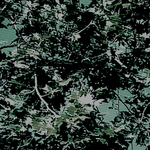 Like Nothing Happens