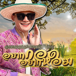 บรรเลงพิณ : อยากกอดอยากหอม