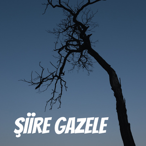 Şiire Gazele