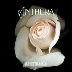 Anthera