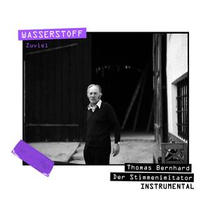 Zuviel (instrumental) (instrumental)