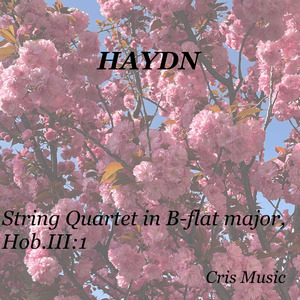 Haydn: String Quartet in B-flat major, Hob.III:1, 2. Minuetto - Trio