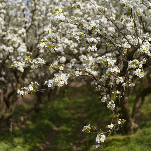 나만의 길로 가야지 (Original)