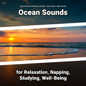 Ocean Sounds to Relax Your Body and Mind