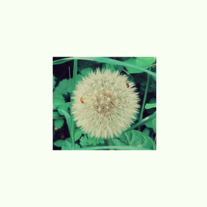 Love Like You (Cover Version)