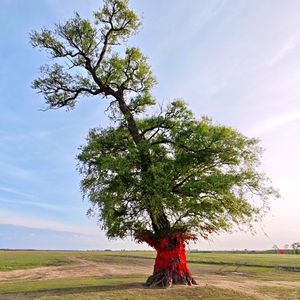 无问西东