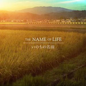 Inochi no Namae (feat. Amanda Achen & Chewie Melodies)