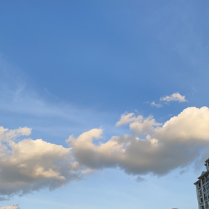 你的名字像一颗种子