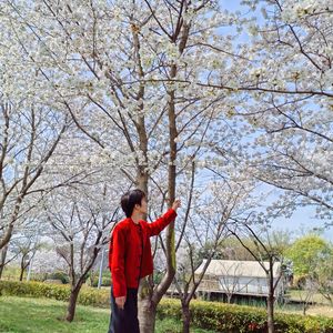 是不是这样的夜晚你才会这样的想起我