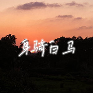 徐佳莹-身骑白马（DJ28）（AuRe remix）