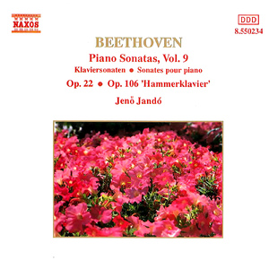 Piano Sonata No. 29 in B-Flat Major, Op. 106, "Hammerklavier":I. Allegro