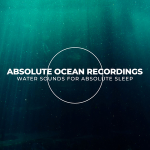 Savannah Sparrow Rain Spatter