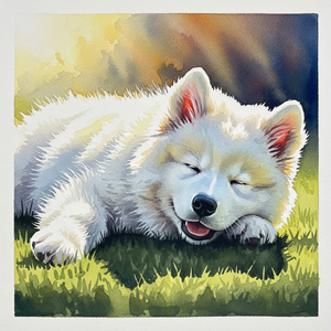 ふわもふの陽だまり
