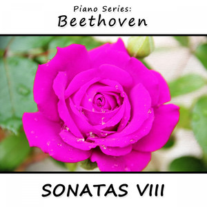 Sonata No. 17 in D Minor, Op. 31 No. 2 (Tempest): III Allegretto (Der Sturm)