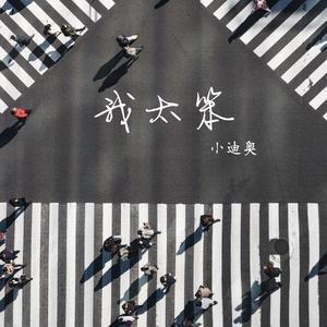 我太笨（cover 锤娜丽莎）