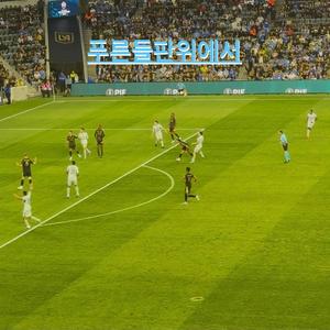 푸른들판위에서