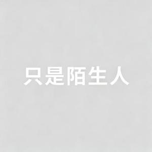 只是陌生人 (阿默 Remix)