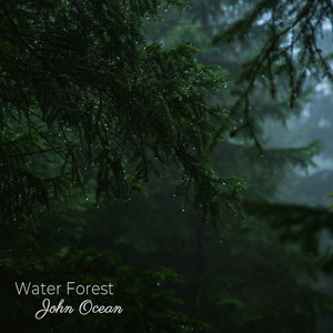 Water Forest