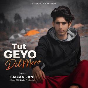 Tut Geyo Dil Mero (feat. Faizan Jani)