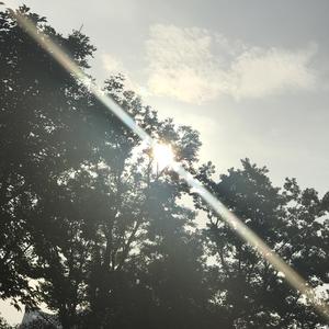 《三寸天堂》cover by洛靓靓（翻自 严艺丹）