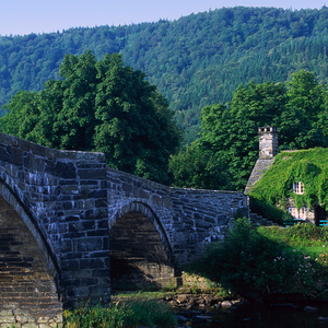 爸爸的祝福 (唯美口哨)