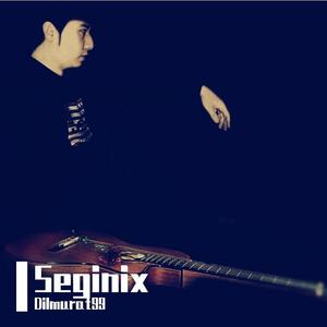 Seginix（翻自 abdugeni ablikim）