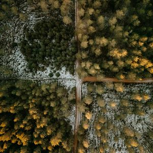 给你我所有的偏爱