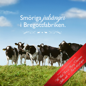 Stilla natt