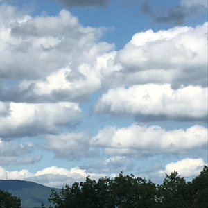 The Early Show (Live)