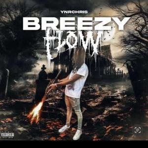 BREEZY FLOW (I SMOKE DRACO)