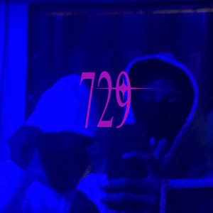 729