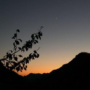 Before Dawn（黎明之前）