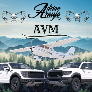 AVM