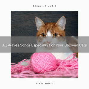 Interesting Waves Songs Especially For All Cats