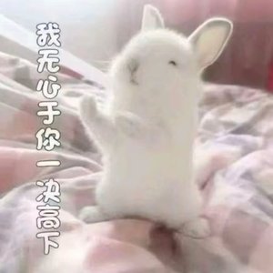 垂耳兔