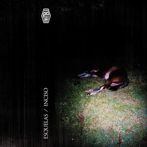 Atravesando la tierra húmeda