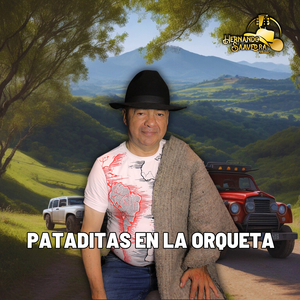 Pataditas En La Orqueta