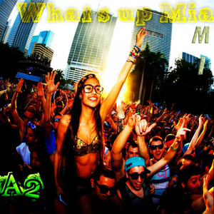 What's Up Miami (Original Mix)