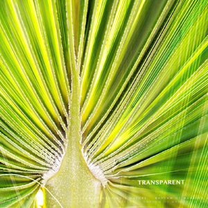 In Harmony with Oneself