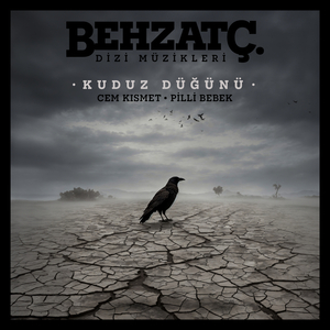 Kaldırımdan Yansıyan Yeşil Işık