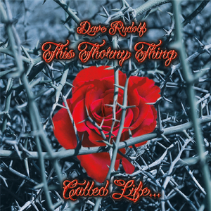 Look Before You Leap