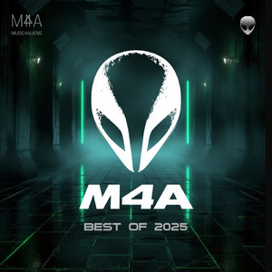 The chaos (Original Mix)