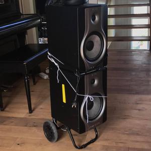 Hrossagaukurinn ekki bananabúðingur er list