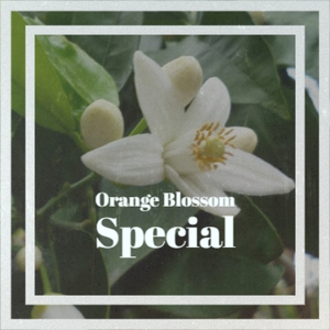 Orange Blossom Special