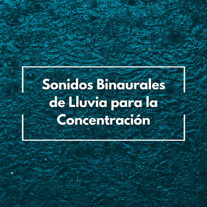 Concentración En Un Día De Lluvia