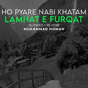 Ho Pyare Nabi Khatam Lamhat e Furqat Lofi